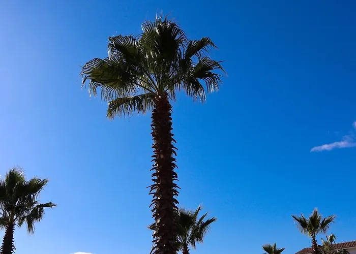 La Dolce شقة فندقية جيزنوكسيا